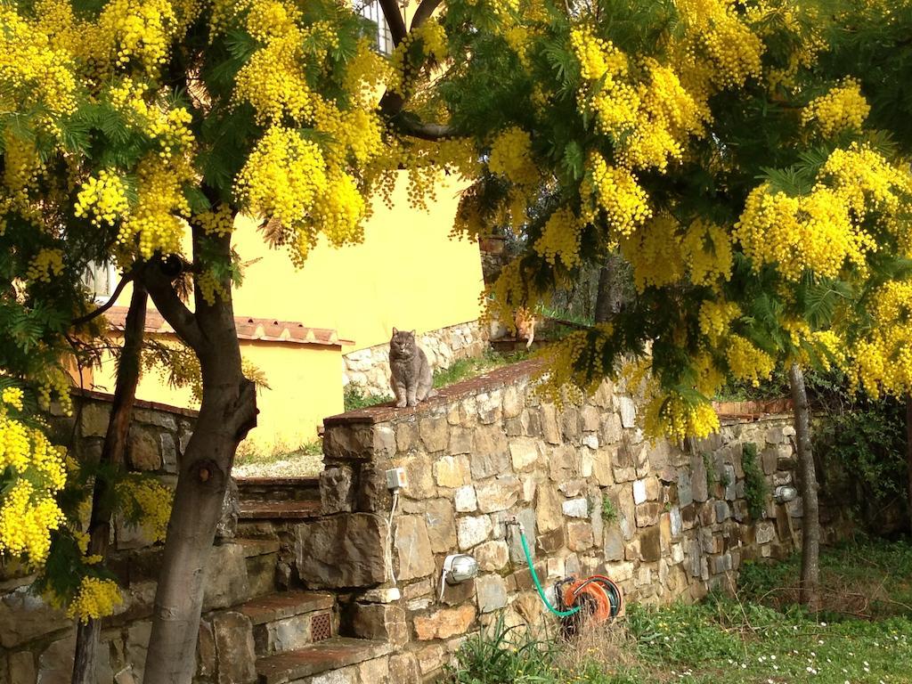 Il Casalone Impruneta Exterior foto